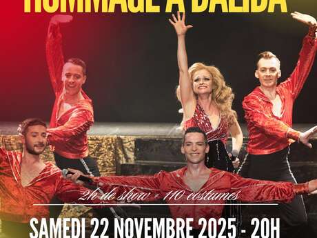 Show Hommage à Dalida