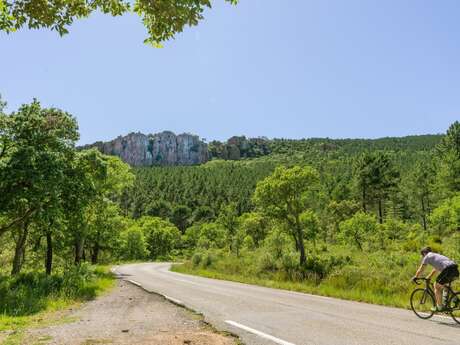 Circuit vélo : N°2 - Bagnols en Forêt