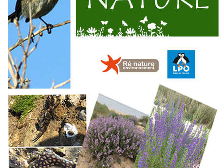 Déambulation Nature avec Ré Nature Environnement