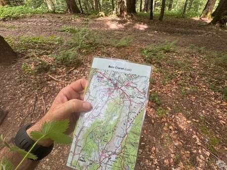 Cartonivo: Stage Initiation Carto & Orientation