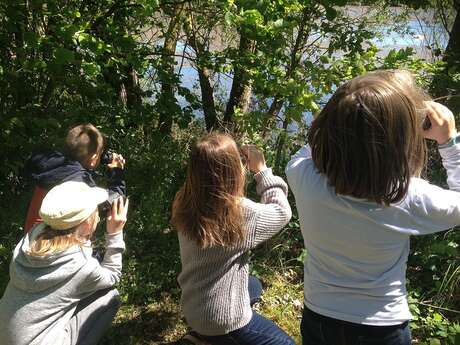 En quête d’oiseaux - Les RDV Nature du Département