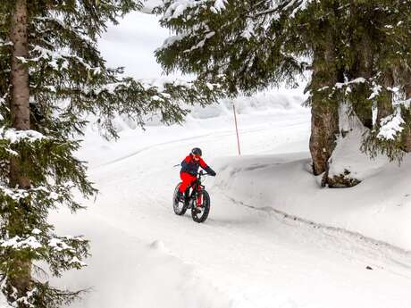 Sortie Fatbike - Bureau des Guides