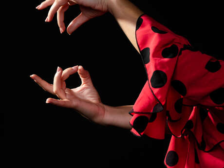 Flamenco et Castagnettes