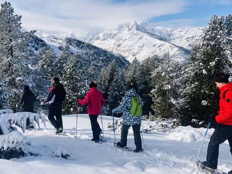 1/2 día de raquetas de nieve (principiantes) con Pyrénées Excursions