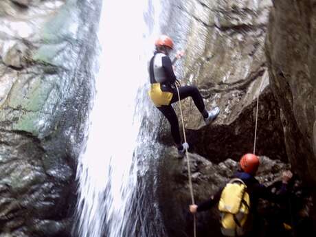 Canyoning : Back to the tree