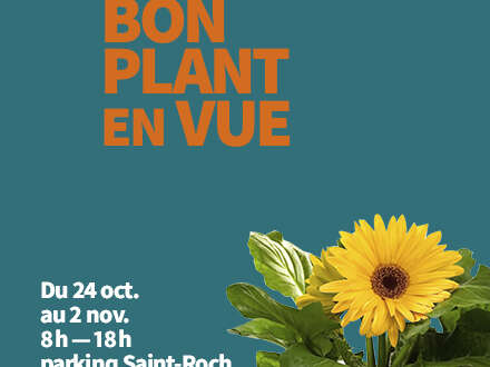 Marché aux fleurs