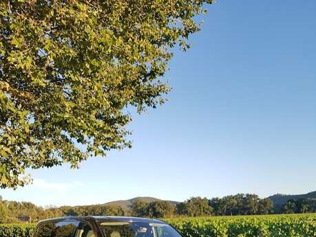 Taxi Pascal / Azur rent services