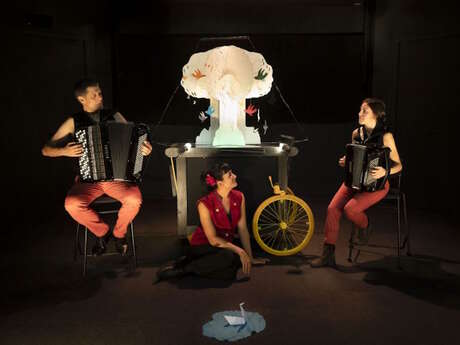 Festival d'accordéon : le Carnaval des Animaux