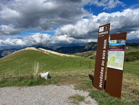 Belvédère du Bois Noir