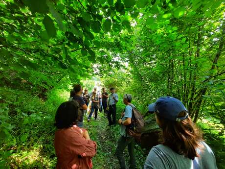 Rando patrimoine " Balade ethnobotanique à Saint-Jean"