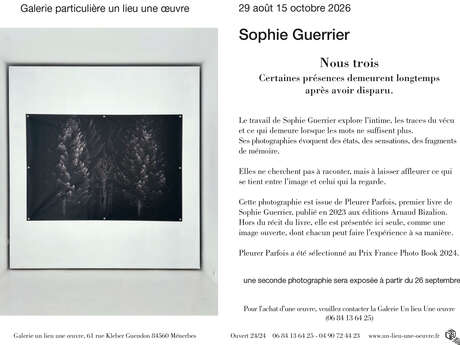 La galerie un lieu une œuvre expose - Sophie Guerrier