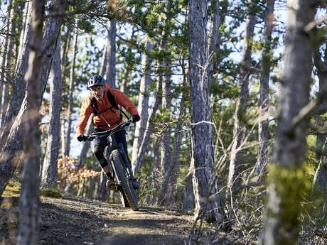 VTT n°6 - La Pierre Plantée