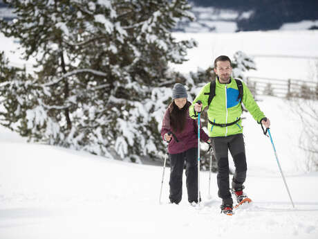 Sommet et crêtes du Grand Puy - Difficile 8km