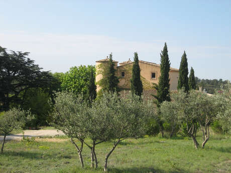 Le Domaine de Saint Martin