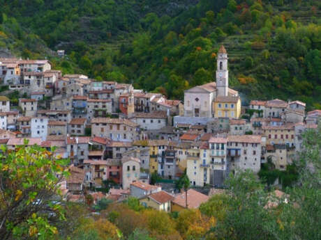 Excursion en bus aux 3 Vallées