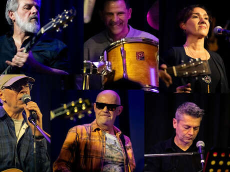 Danger Birds - Festival Improbable