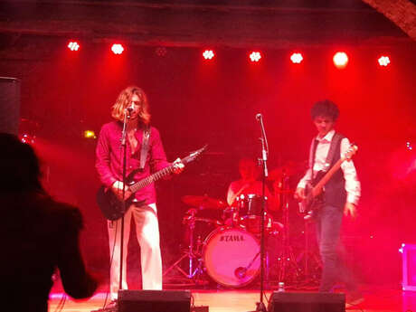 Feu Sauvage - Festival Improbable