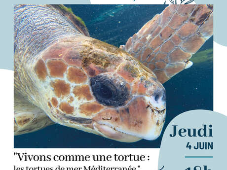 Conferenza ambientale: "Vivere come una tartaruga: la tartaruga marina del Mediterraneo".