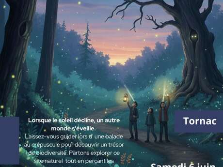 A la nuit tombée la nature révèle ses secrets
