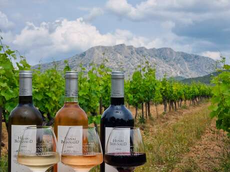 Visite et dégustation au Château Henri Bonnaud