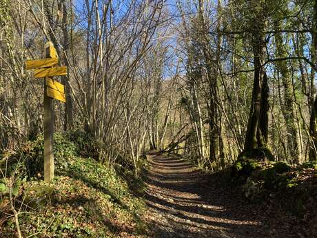 Randonnée l'Ismérusienne
