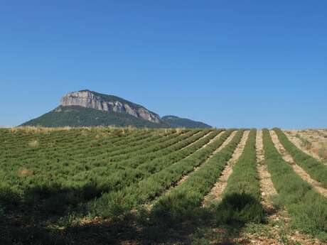 Plateau de Garenne by bike