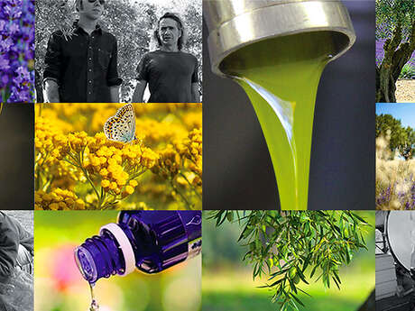 Visite de Terres de Bonaventure