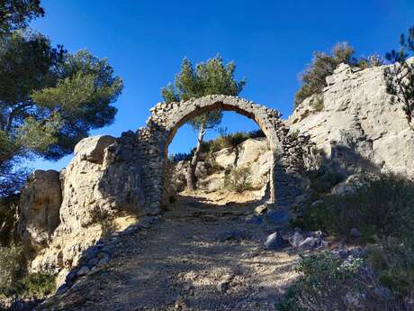 Respirations et balade dans les collines de Marcel Pagnol - 1/2 journée