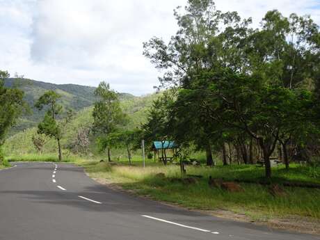 Rest area at Japanese Creek