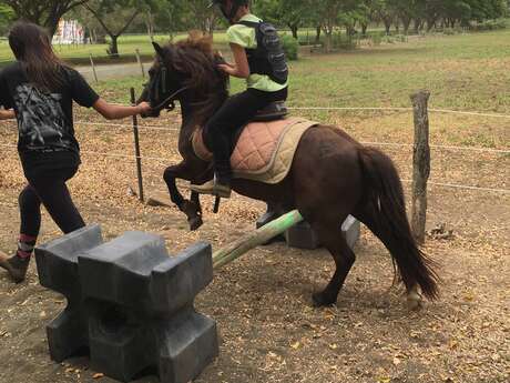 Cours d’équitation - Haras de Tontouta