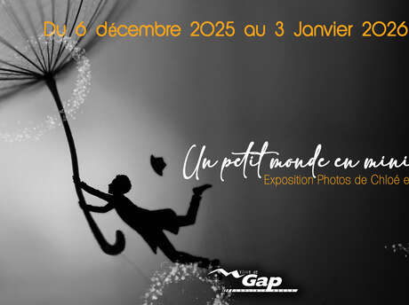 Exposition "Un petit monde en miniature"