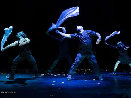 "JE SUIS" Danse Hip-Hop Cie Evolves