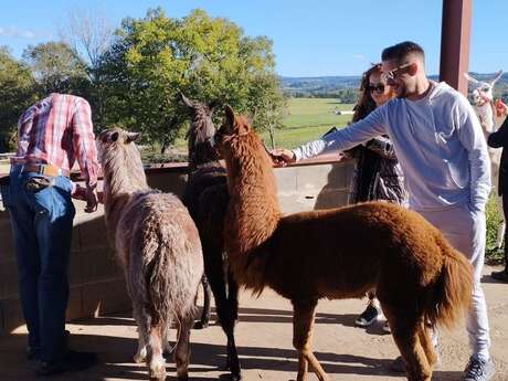 EARL la ferme du champ rouge