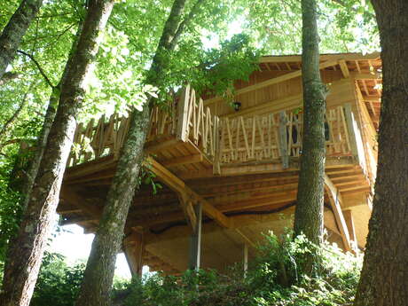 Gîte insolite, La Cabane de Roman