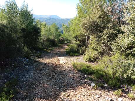 La panoramique de Saint-Zacharie