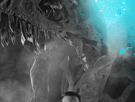 Atelier concert pédagogique - Rewind une histoire du beatbox