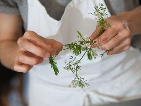 Cardamome cooking workshop