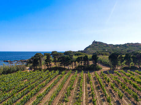 Domaine viticole de l'île des Embiez