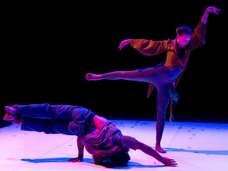 Compagnie Amala Dianor - "Coquilles"