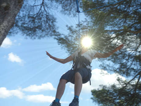 Accrobranche en terrain d'aventure