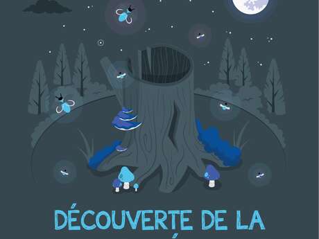 Découverte de la biodiversité nocturne