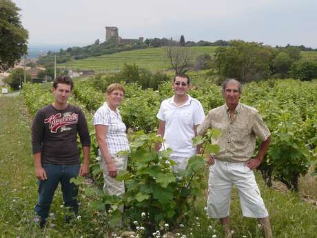 Courtil Thibaut - Clos des Brusquières