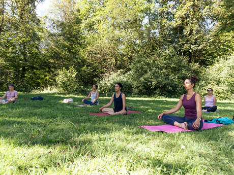 Séance de yoga pour tous en pleine Nature
