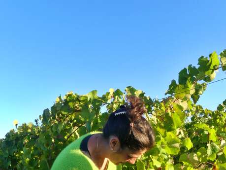 Villa Costebelle : visite de la cave et dégustation