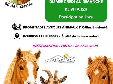 La ferme des Buisses