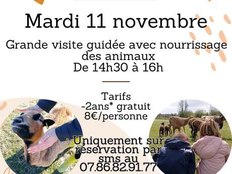 Grande visite guidée à la ferme animalière