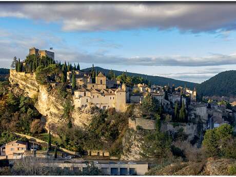 La randonnée de Vaison-la-Romaine 'La Forêt communale' par Terra Rando