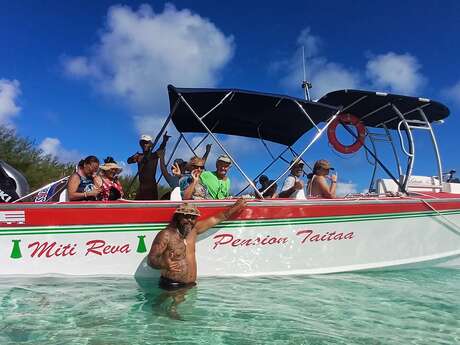 Pension Taitaa  - Sortie baleines