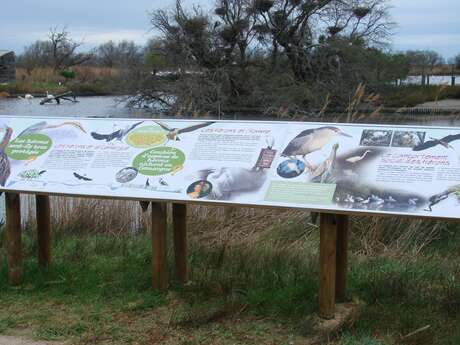 Parc ornithologique du Pont de Gau