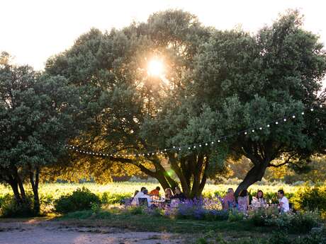 Les Estivales des Perpetus à La Tour d'Aigues